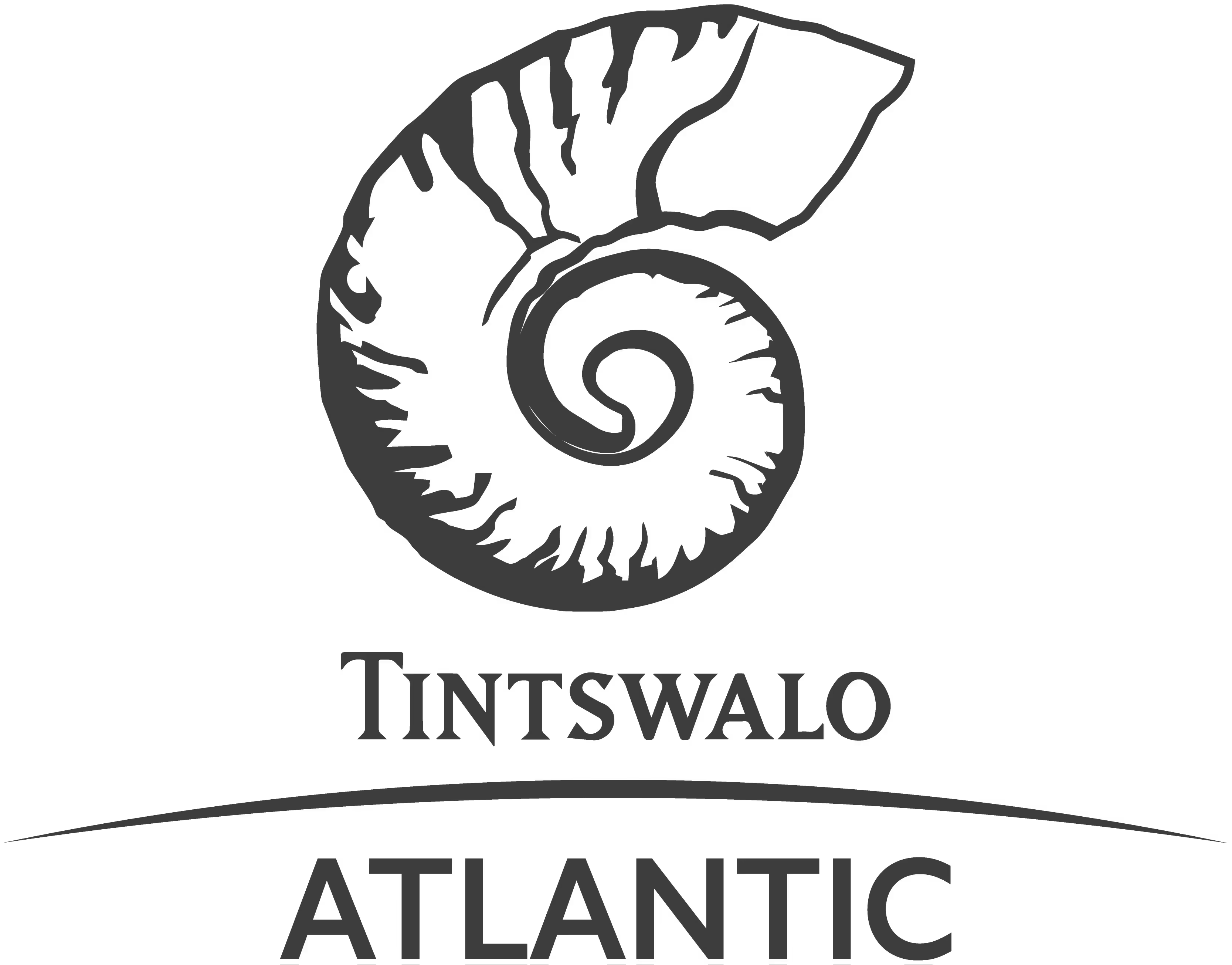 tintswalo's logo