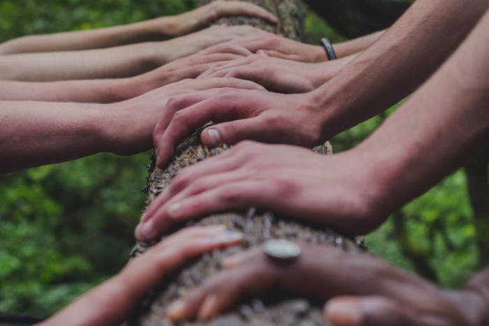 Multiple hands placed on a tree trunk for a teambuilding activity
